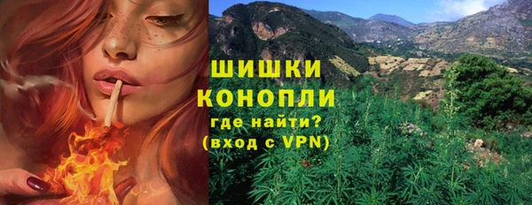 ALPHA PVP Богородицк