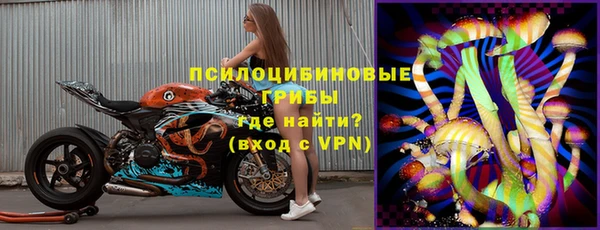 соль ск Богородск